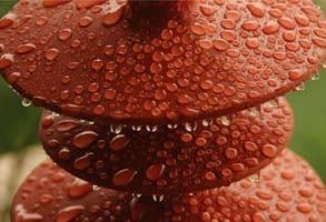 Discrimination of composite insulator hydrophobicity test results